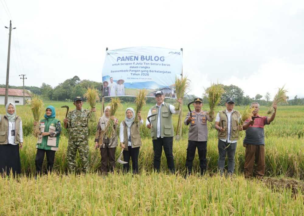 Jateng Jadi Penopang Pangan Nasional, Serapan BULOG Tembus 237 Ribu Ton