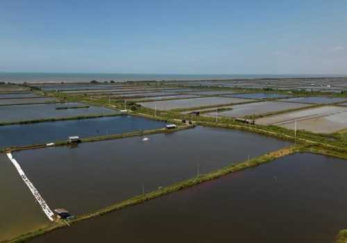 Setahun Setelah Electrifying Marine, Petani Tambak Pati Rasakan Efisiensi dan Produktivitas yang Lebih Baik