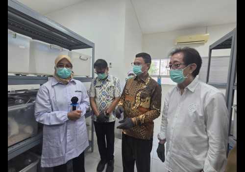 Kepala BPOM Tegaskan Minuman Energi Aman Dikonsumsi, Edukasi Publik Dinilai Penting Tangkal Hoaks