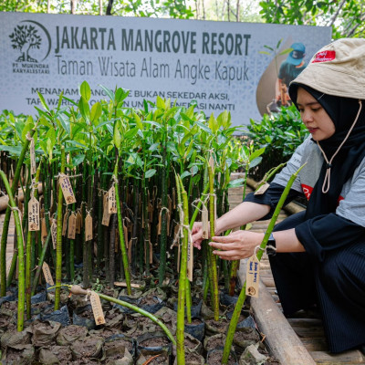 Prudential Indonesia Tanam 5.500 Mangrove di Kepulauan Seribu, Perkuat Ketahanan Pesisir Jakarta