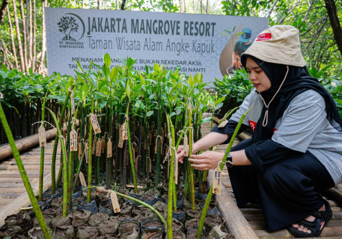 Prudential Indonesia Tanam 5.500 Mangrove di Kepulauan Seribu, Perkuat Ketahanan Pesisir Jakarta