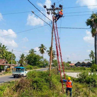 Dirut PLN Kawal Langsung Kelistrikan Nasional Jelang HUT ke-81 Kemerdekaan RI dari Posko NTT