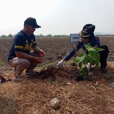 Peringati Hari Bulan Bakti, Karang Taruna Kabupaten Kendal Tanam 150 pohon Sukun