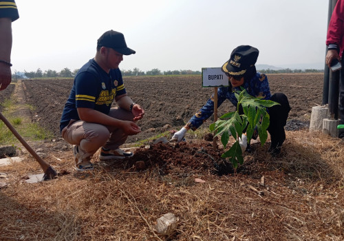 Peringati Hari Bulan Bakti, Karang Taruna Kabupaten Kendal Tanam 150 pohon Sukun