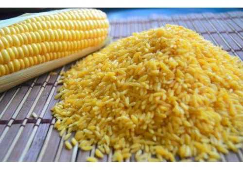 Terobosan Baru Pemprov Jateng Hadapi Potensi Krisis Pangan, Siapkan Beras Jagung Sebagai Cadangan Pangan Daerah