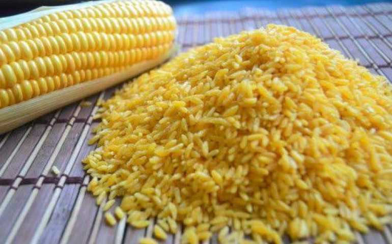 Terobosan Baru Pemprov Jateng Hadapi Potensi Krisis Pangan, Siapkan Beras Jagung Sebagai Cadangan Pangan Daerah