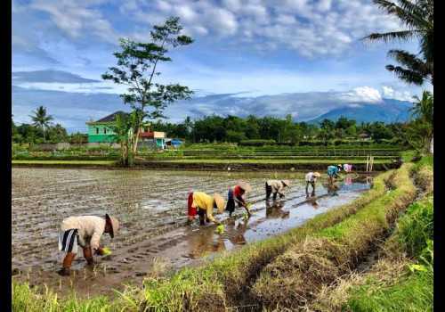 Tingkatkan Lumbung Pangan di Jateng, Penataan Ruang dan Konservasi Lahan Subur Harus di Genjot