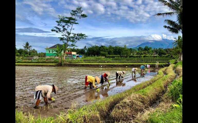 Tingkatkan Lumbung Pangan di Jateng, Penataan Ruang dan Konservasi Lahan Subur Harus di Genjot