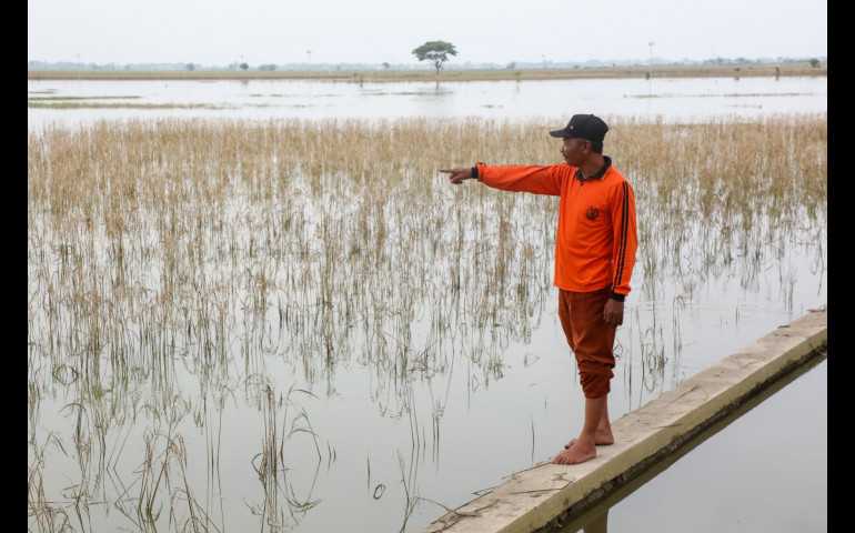 Pemprov Jateng Bantu Petani Gagal Panen Akibat Banjir