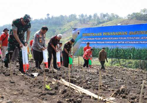 Pemprov Jateng Himbau Pemanfaatan Hutan untuk Pertanian Harus Perhatikan Pohon Penahan Air