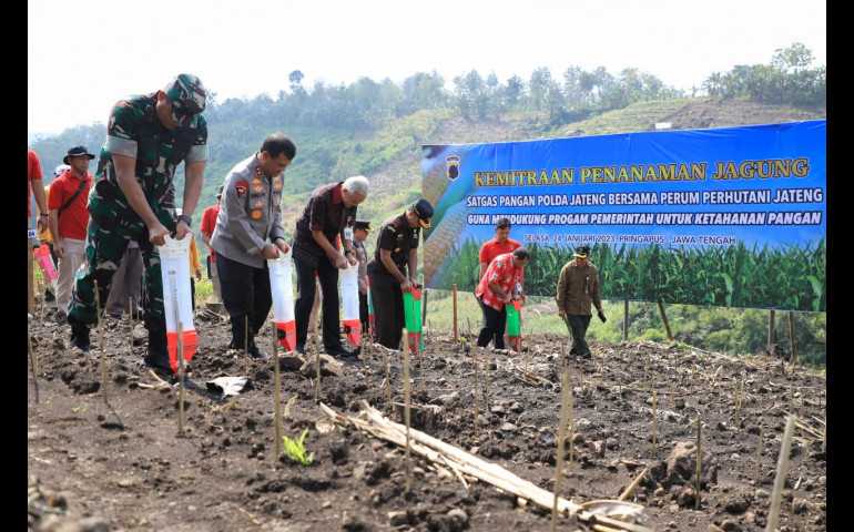 Pemprov Jateng Himbau Pemanfaatan Hutan untuk Pertanian Harus Perhatikan Pohon Penahan Air