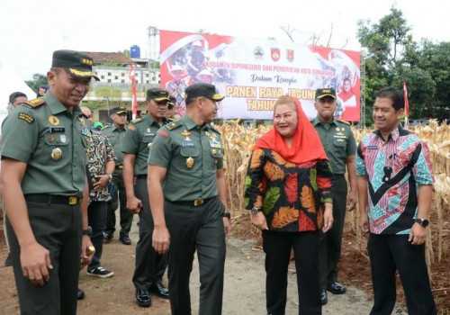 Panen Jagung Bersama, Pemkot Semarang Harap Petani Aktifkan Kembali Lahan Tidur Untuk Tingkatkan Produktivitas
