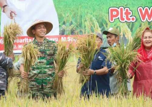 Sejahterakan Masyarakat, Pemkot Semarang Sediakan Lahan Demplot Padi