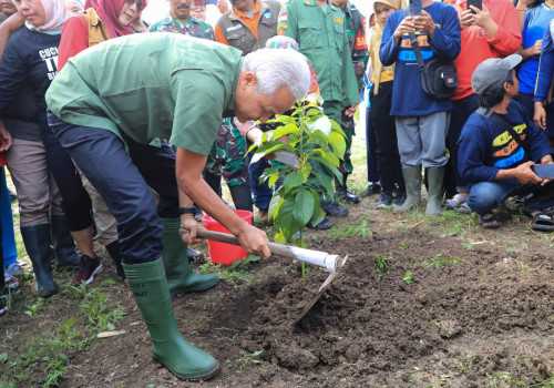 Ini Cara Pemrov Jateng Cegah Longsor dan Banjir, Tanam 15 Ribu Pohon