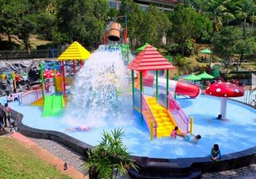 Wisata Bunga Taman Kyai Langgeng Magelang