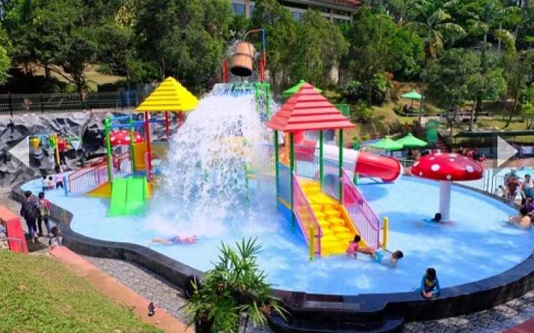 Wisata Bunga Taman Kyai Langgeng Magelang