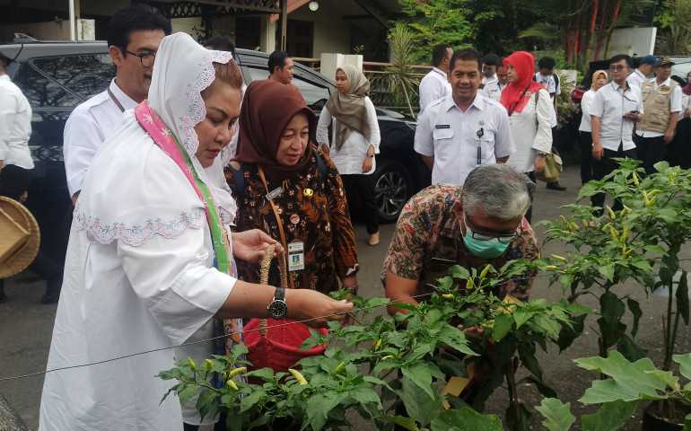 Keren, Urban Farming Pemkot Semarang Dapat Respon Positif dari Pemprov Jateng
