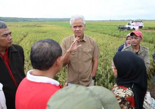 Panen Padi Dimulai, Dipastikan Harga Beras di Jateng Stabil dalam Sepekan