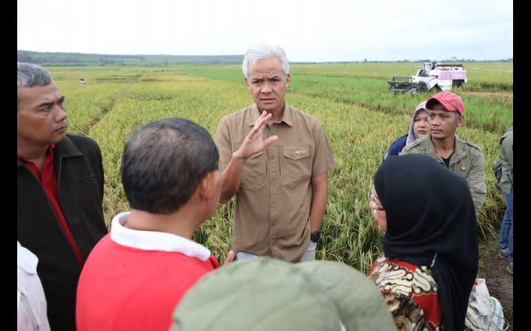 Panen Padi Dimulai, Dipastikan Harga Beras di Jateng Stabil dalam Sepekan