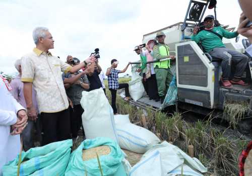 Panen Padi di Grobogan, Petani Senang Dapat Harga Tinggi