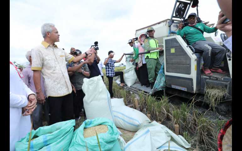 Panen Padi di Grobogan, Petani Senang Dapat Harga Tinggi