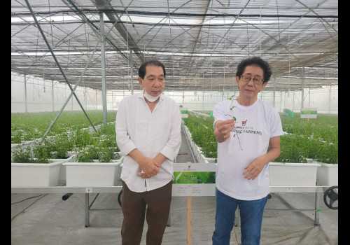 Baru Diresmikan, Green House Sido Muncul Mampu Hasilkan Rempah Kualitas Unggulan