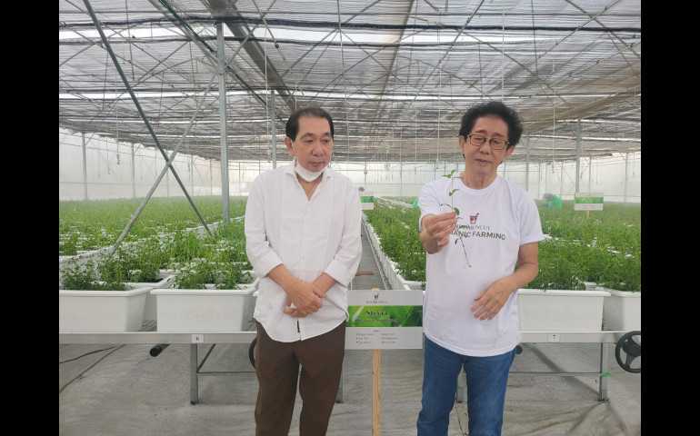 Baru Diresmikan, Green House Sido Muncul Mampu Hasilkan Rempah Kualitas Unggulan