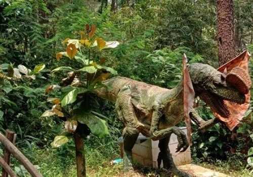 Wisata Edukasi Soko Langit Pekalongan, Ada ”Dinosaurus” di Tengah Hutan Pinus