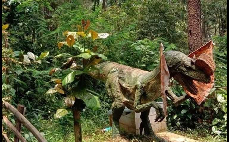 Wisata Edukasi Soko Langit Pekalongan, Ada ”Dinosaurus” di Tengah Hutan Pinus