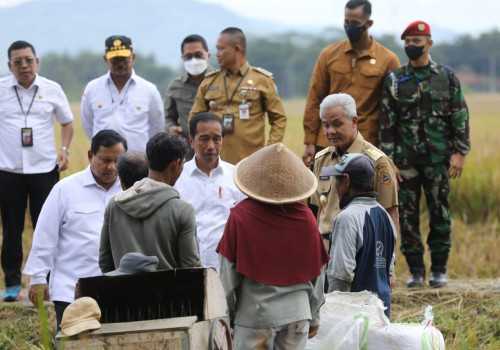 Tinjau Panen Raya di Jateng, Jokowi: Indonesia Siap Jadi Lumbung Pangan Dunia