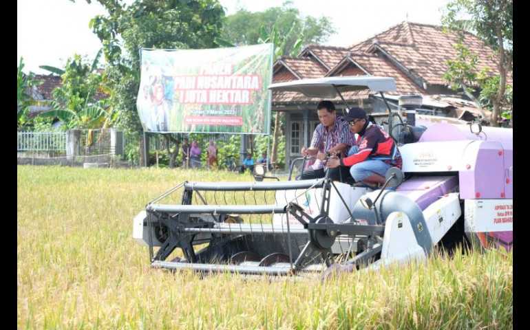 Panen Padi Nusantara, Klaten Siap Jadi Penyangga Pangan