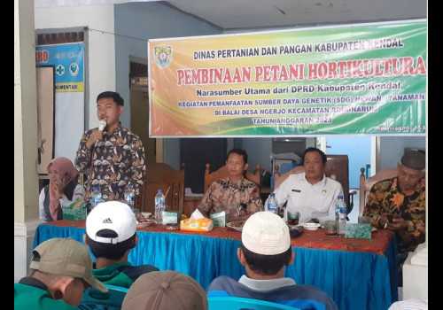 Pupuk Yosaka, Alternatif Pupuk Bersubsidi bagi Petani