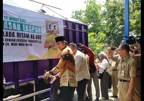 Putra Daerah Kendal Mampu Ekspor Lada Hitam, Bupati Dico: Ini Suatu Kebanggaan!