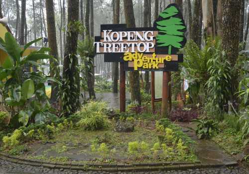 Wisata Kopeng Treetop Adventure Park, Ada Wahana Menantang yang Mengasyikan