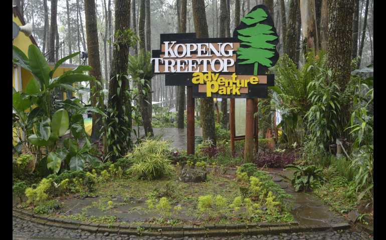 Wisata Kopeng Treetop Adventure Park, Ada Wahana Menantang yang Mengasyikan