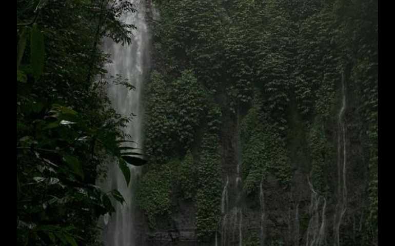 Curug Lawe Ungaran: Keindahan Air Terjun di Tengah Hutan dan Lereng