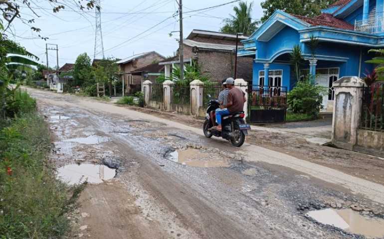 Saat Kunjungan ke Lampung, Warga Imbau Jokowi Jangan Kaget dengan Kondisi Jalan