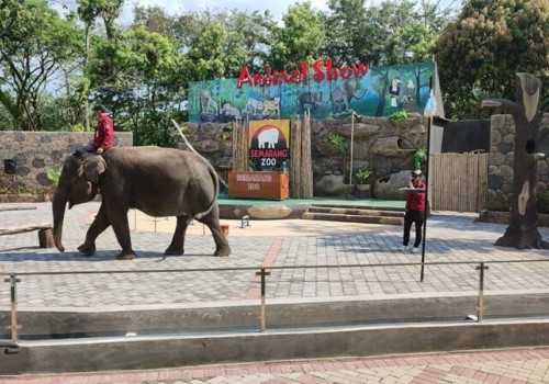 Lampaui Target, Jumlah Pengunjung Semarang Zoo Tembus 60.000 saat Libur Lebaran 2023