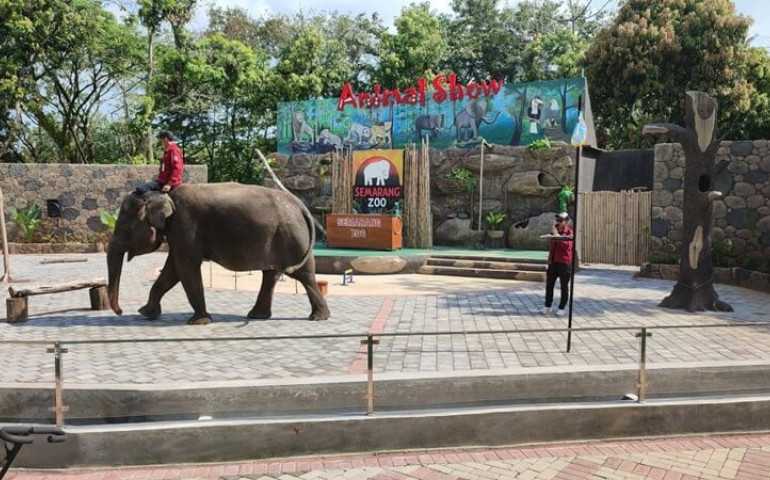 Lampaui Target, Jumlah Pengunjung Semarang Zoo Tembus 60.000 saat Libur Lebaran 2023