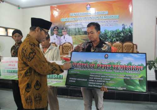 Beri Bantuan Pupuk ke Petani Tembakau Temanggung, Kepala Bidang Hortikultura DKPP: Pemerintah Harus Ikut Berperan