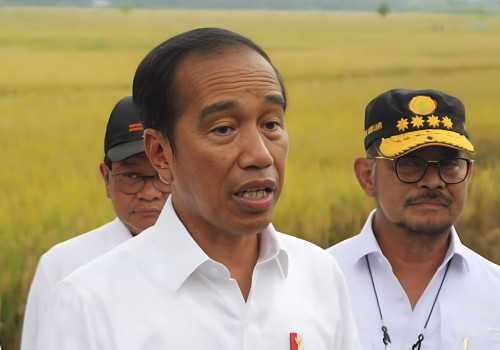 Sering Dapat Keluhan Pupuk Subsidi Kurang, Jokowi Sentil Data Tidak Akurat