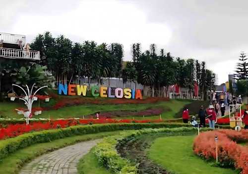 Taman Bunga Celosia Semarang: Temukan Berbagai Spot Foto yang Iconic