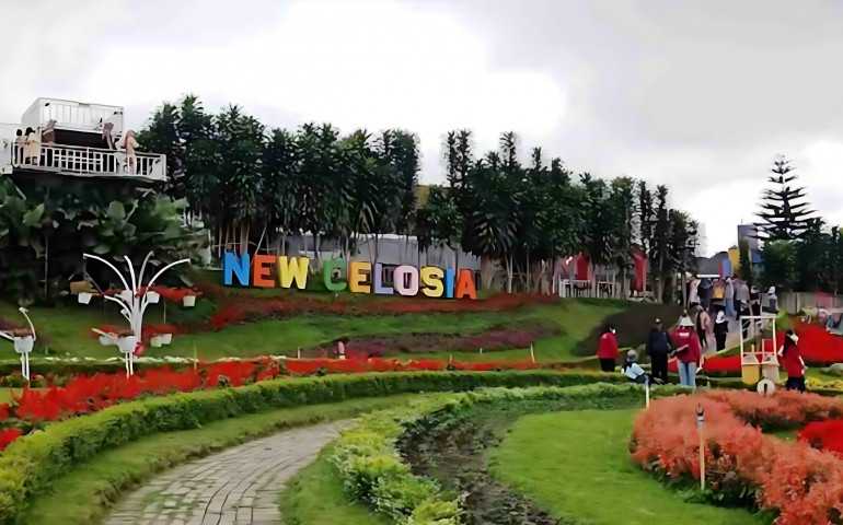 Taman Bunga Celosia Semarang: Temukan Berbagai Spot Foto yang Iconic