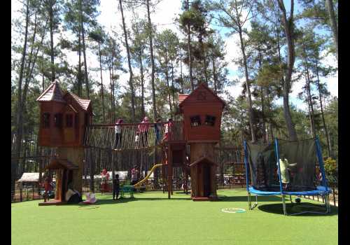Nikmati Ragam Wisata di Kemit Forest Cilacap; Wisata Alam Sambil Belajar