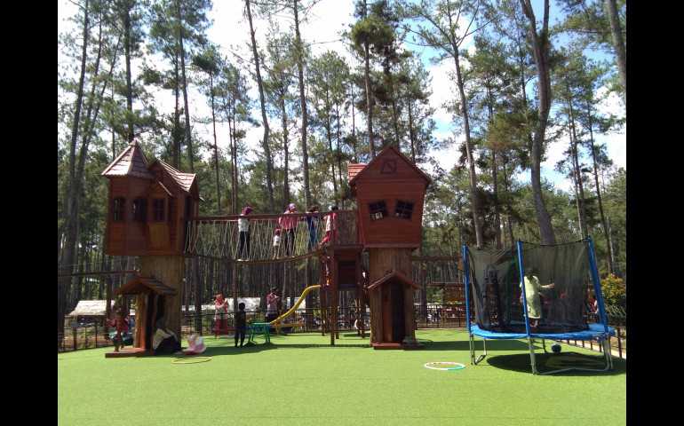 Nikmati Ragam Wisata di Kemit Forest Cilacap; Wisata Alam Sambil Belajar