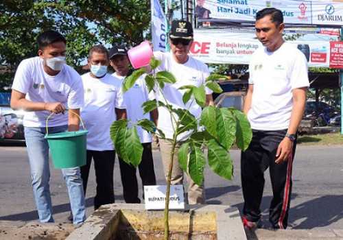 Percantik Lingkungan, Pemkab Kudus Tanam 473 Pohon Tabebuya di Sepanjang Jalan Boulevard