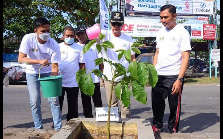 Percantik Lingkungan, Pemkab Kudus Tanam 473 Pohon Tabebuya di Sepanjang Jalan Boulevard