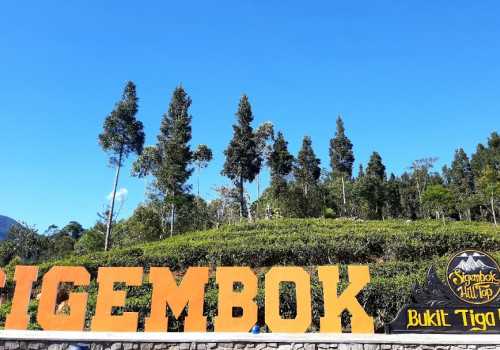 Berada Diatas Bukit, Wisata Sigembok Hill Top Batang Simpan Banyak Keindahan