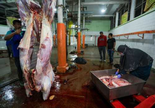 Pemprov Jateng Maksimalkan Potensi RPH, Gus Yasin: 40 Kang Jalal Sudah Kantongi Sertifikat Halal