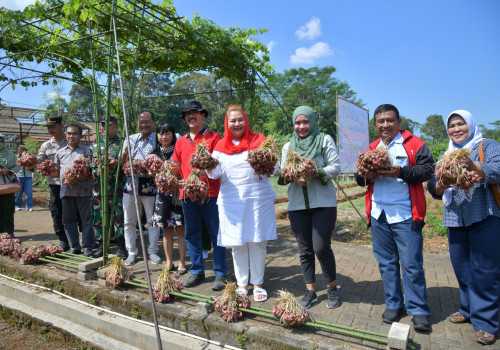 Wali Kota Hevearita Ingin Kota Semarang Jadi Pemasok Bawang Merah bagi Kawasan Hinterland